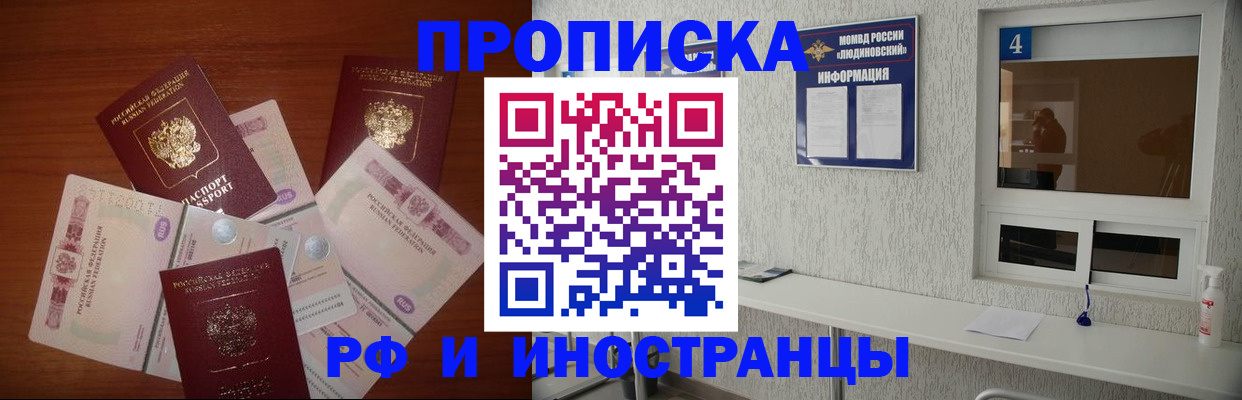 прописка ребенка в Вязьме